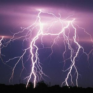 Meet your Posher, Carlos